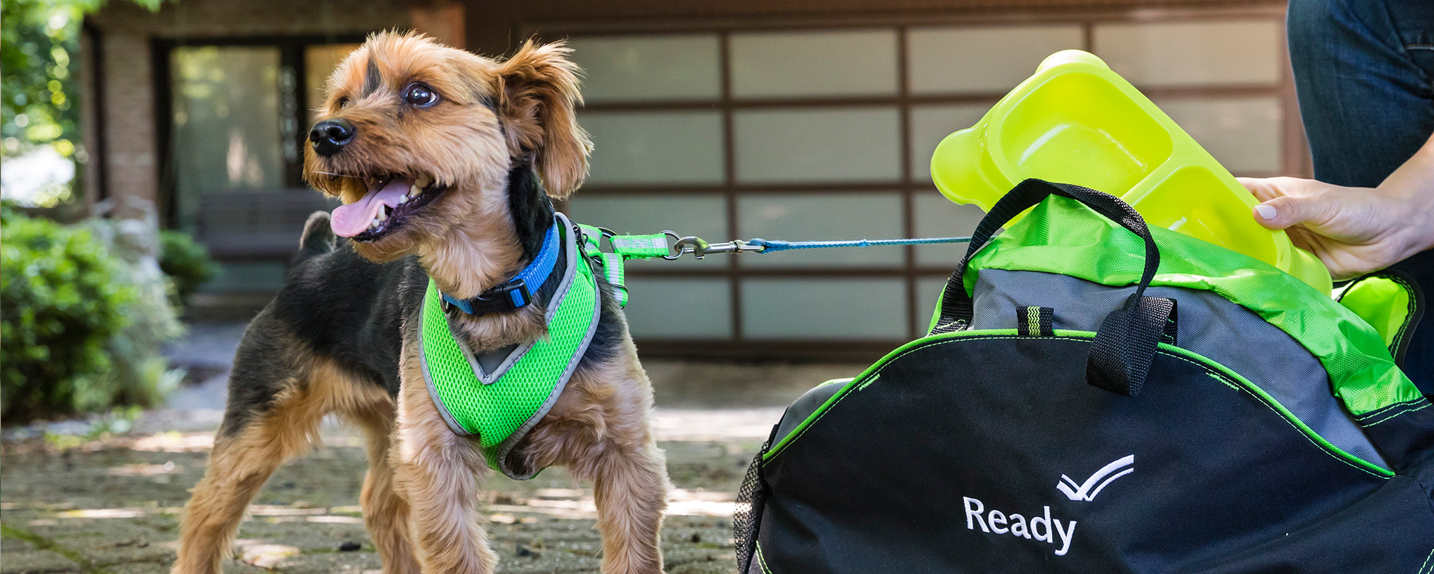 Small Dog Evacuation Go-Pack – Mobile Dog Gear