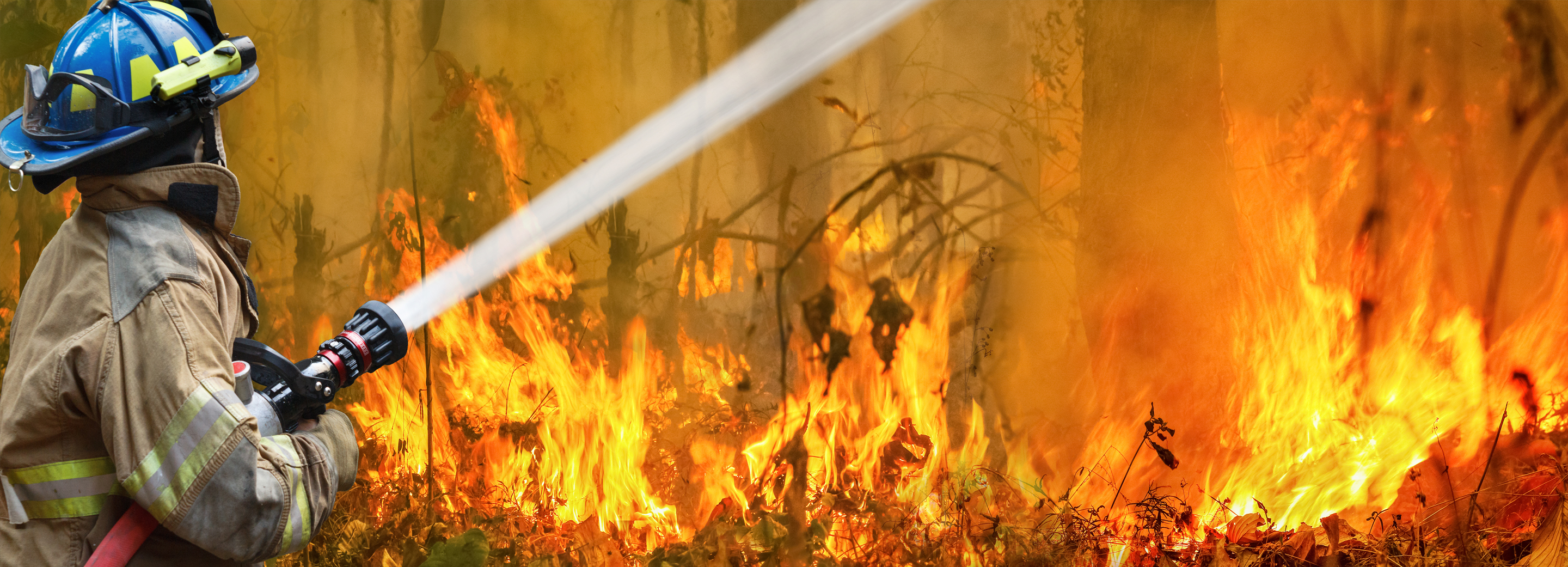 Wildfires: How They Form, and Why They're so Dangerous