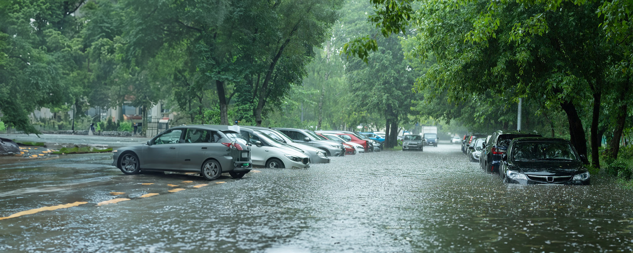 A road lined with parked cars is flooded. 