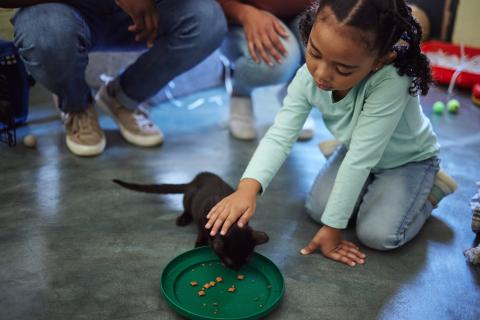 A young girl pets a black cat as it eats.