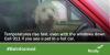 A dog in a car with the windows closed. Temperatures rise fast, even with the windows down. Call 911 if you see a pet in a hot car. #BeInformed