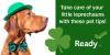 A dog wearing a green hat and bowtie. Take care of your little leprechauns with these pet tips. 